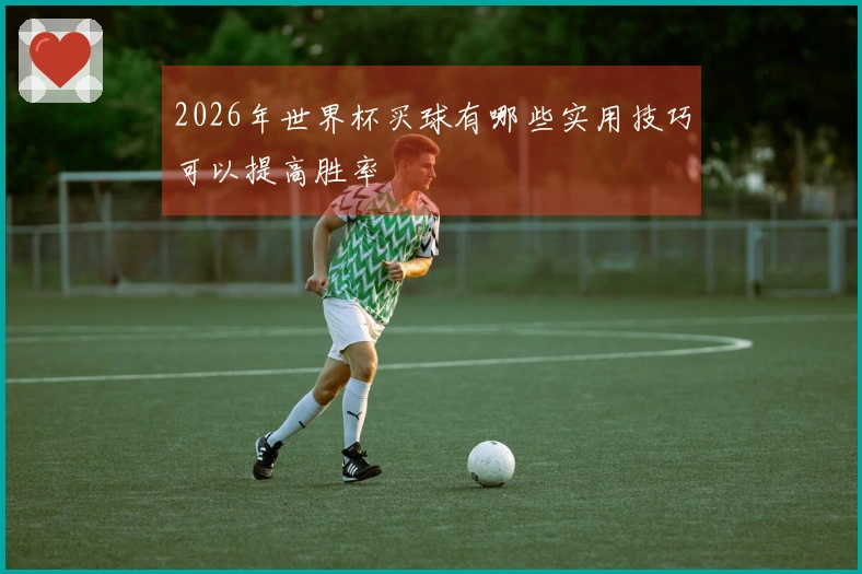 2026年世界杯买球有哪些实用技巧可以提高胜率