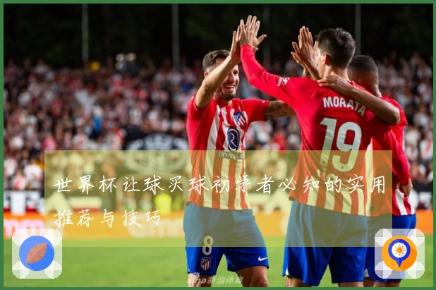 世界杯让球买球初学者必知的实用推荐与技巧