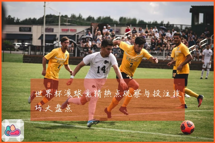 世界杯滚球竞猜热点观察与投注技巧大盘点