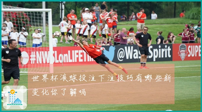 世界杯滚球投注下注技巧有哪些新变化你了解吗