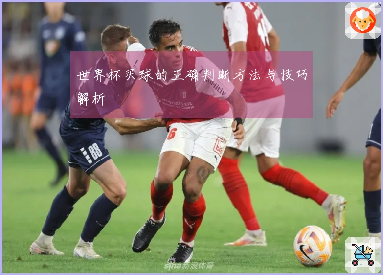 世界杯买球的正确判断方法与技巧解析