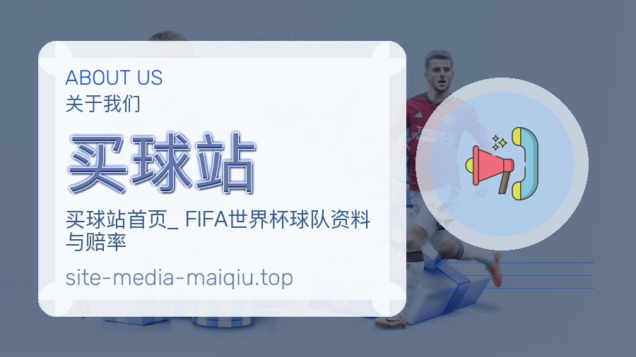 关于 买球站 团队与服务